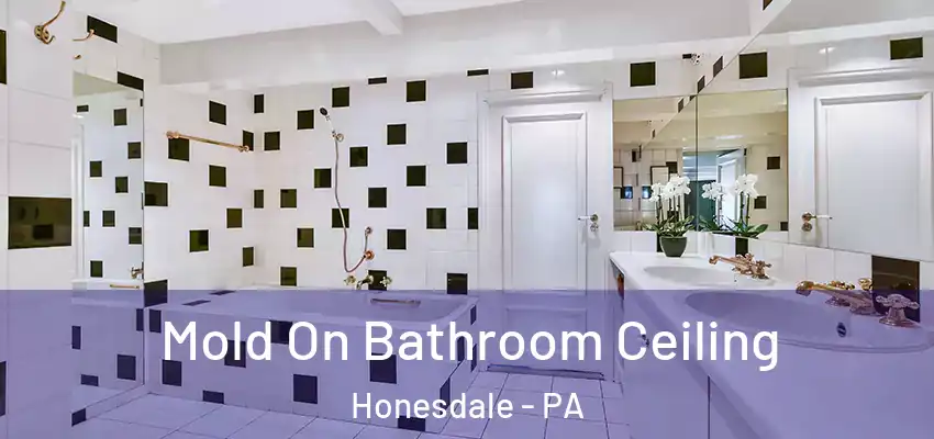 Mold On Bathroom Ceiling Honesdale - PA