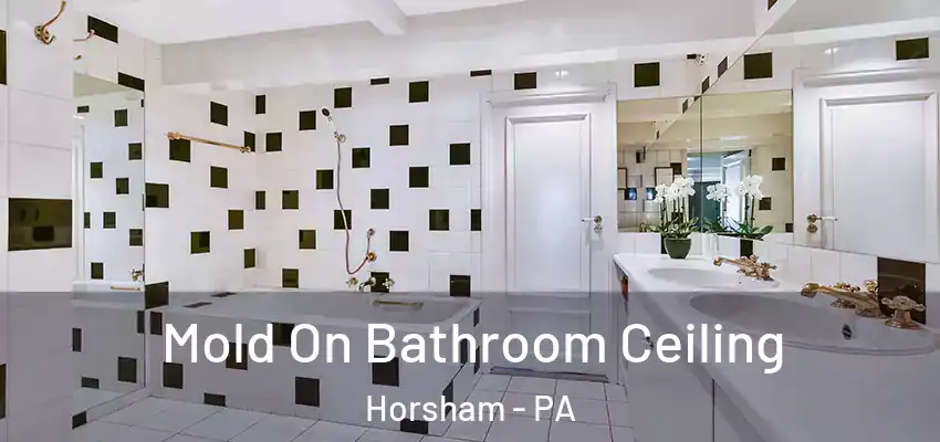 Mold On Bathroom Ceiling Horsham - PA