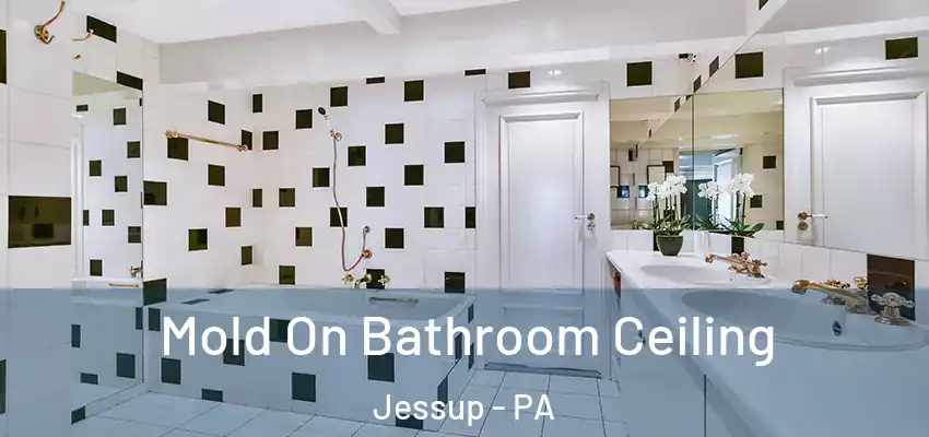 Mold On Bathroom Ceiling Jessup - PA