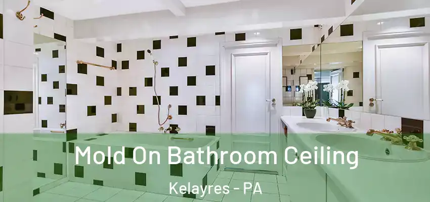Mold On Bathroom Ceiling Kelayres - PA