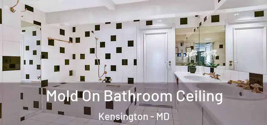 Mold On Bathroom Ceiling Kensington - MD