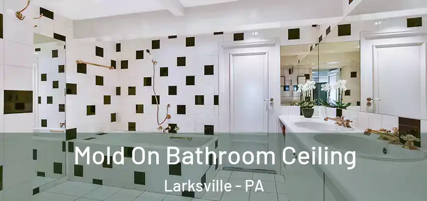Mold On Bathroom Ceiling Larksville - PA