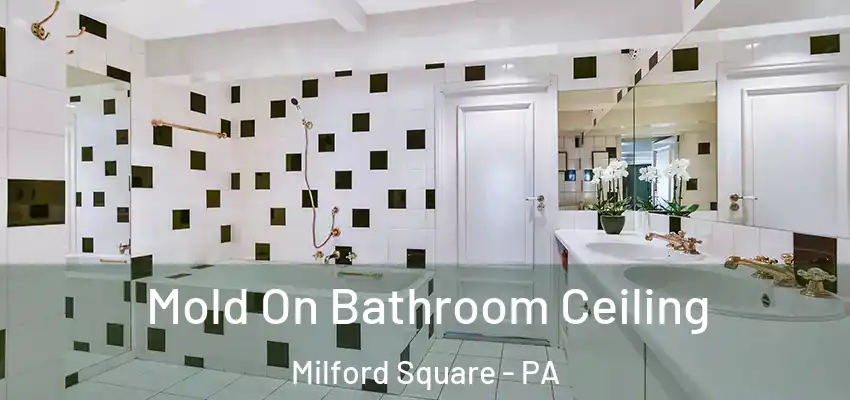 Mold On Bathroom Ceiling Milford Square - PA