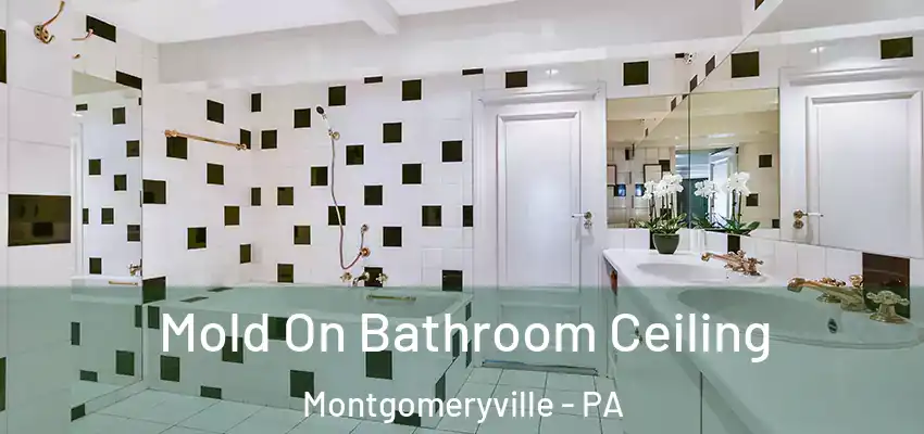  Mold On Bathroom Ceiling Montgomeryville - PA