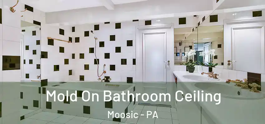 Mold On Bathroom Ceiling Moosic - PA