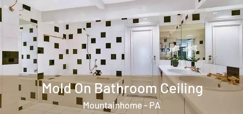 Mold On Bathroom Ceiling Mountainhome - PA