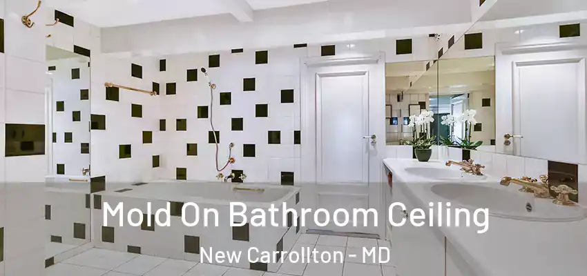 Mold On Bathroom Ceiling New Carrollton - MD