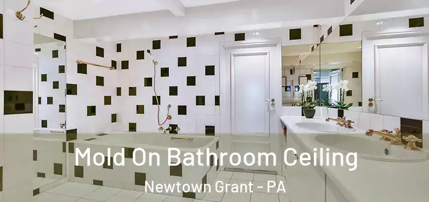 Mold On Bathroom Ceiling Newtown Grant - PA