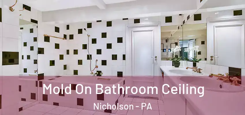  Mold On Bathroom Ceiling Nicholson - PA