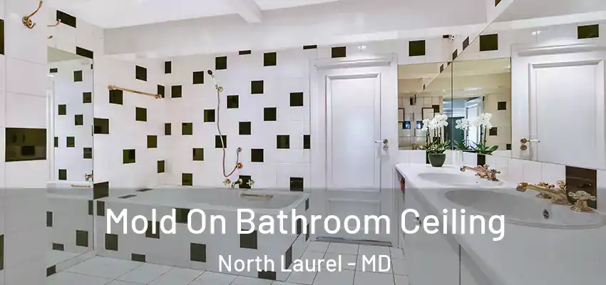  Mold On Bathroom Ceiling North Laurel - MD