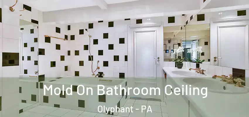 Mold On Bathroom Ceiling Olyphant - PA