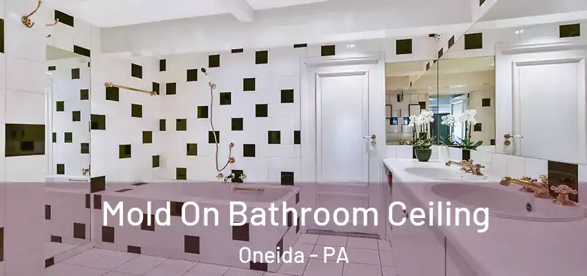  Mold On Bathroom Ceiling Oneida - PA