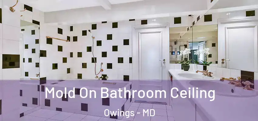 Mold On Bathroom Ceiling Owings - MD