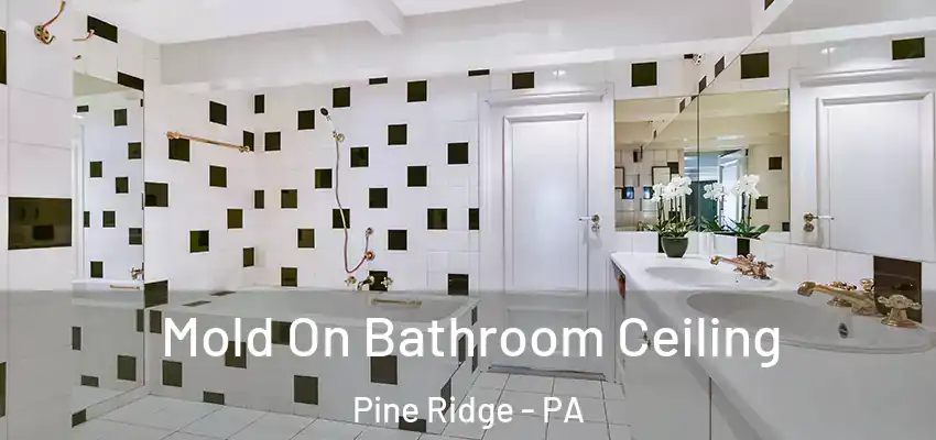  Mold On Bathroom Ceiling Pine Ridge - PA