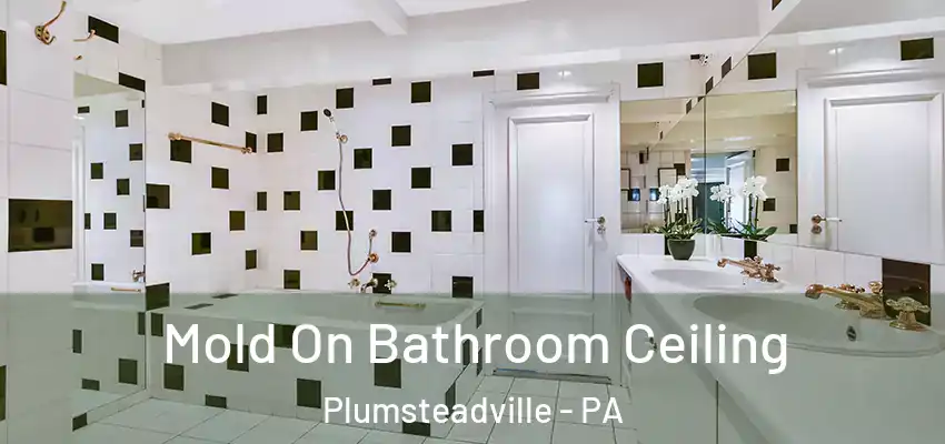 Mold On Bathroom Ceiling Plumsteadville - PA