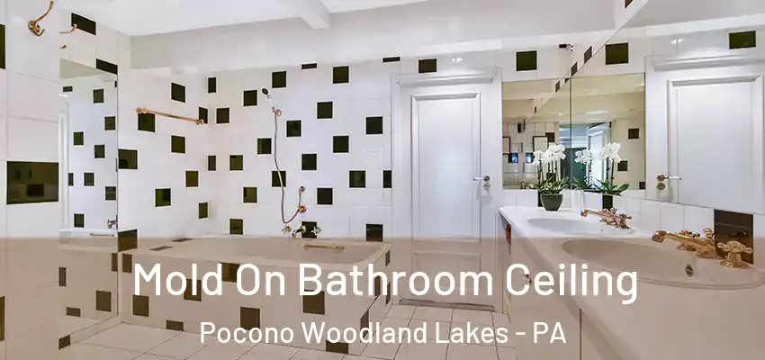 Mold On Bathroom Ceiling Pocono Woodland Lakes - PA