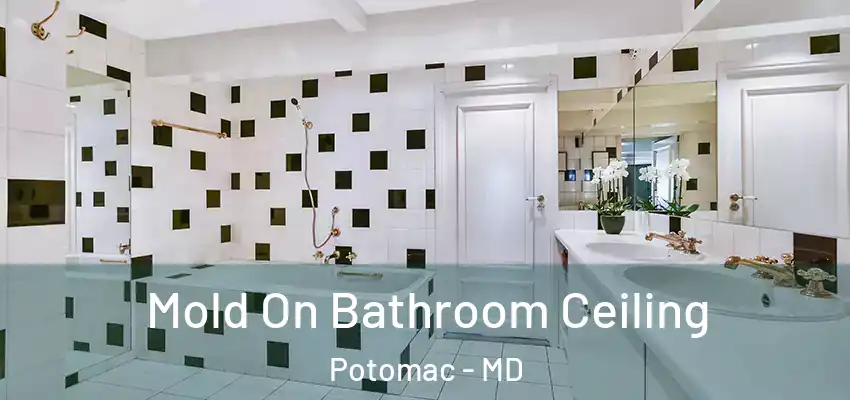 Mold On Bathroom Ceiling Potomac - MD