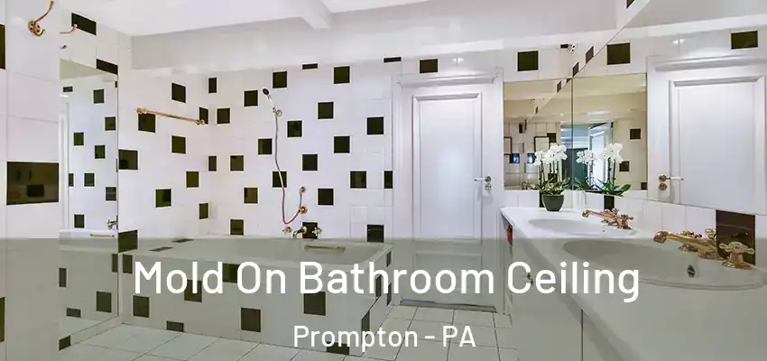 Mold On Bathroom Ceiling Prompton - PA