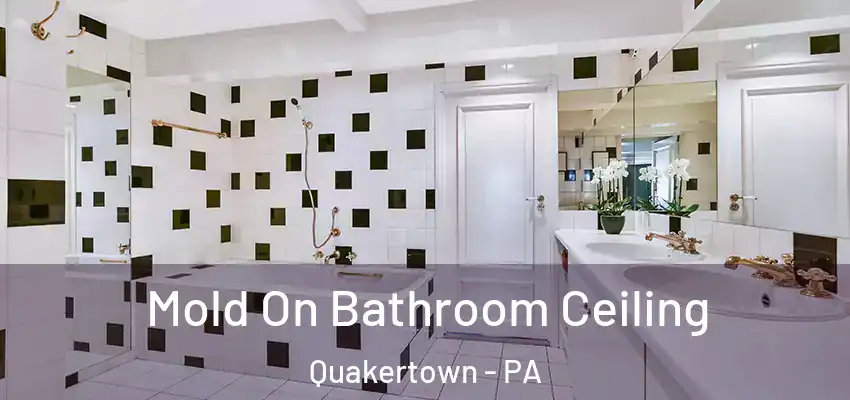 Mold On Bathroom Ceiling Quakertown - PA