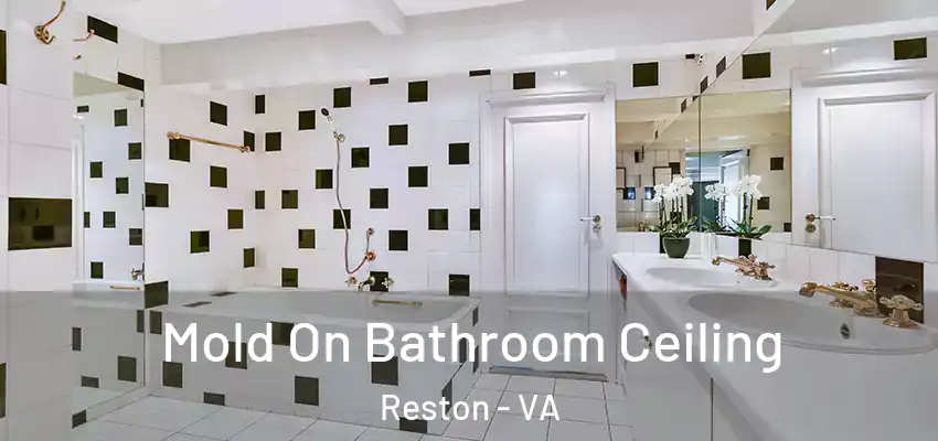  Mold On Bathroom Ceiling Reston - VA