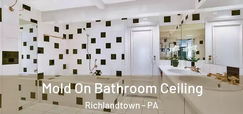 Mold On Bathroom Ceiling Richlandtown - PA