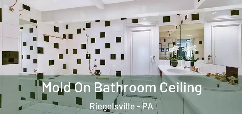 Mold On Bathroom Ceiling Riegelsville - PA