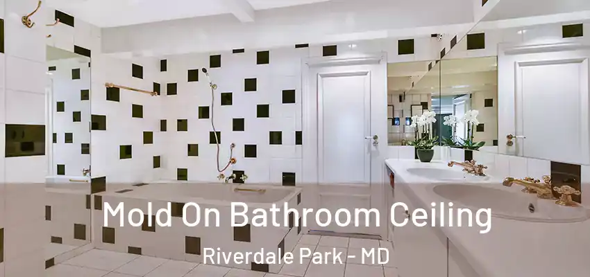 Mold On Bathroom Ceiling Riverdale Park - MD