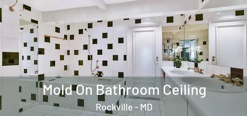 Mold On Bathroom Ceiling Rockville - MD