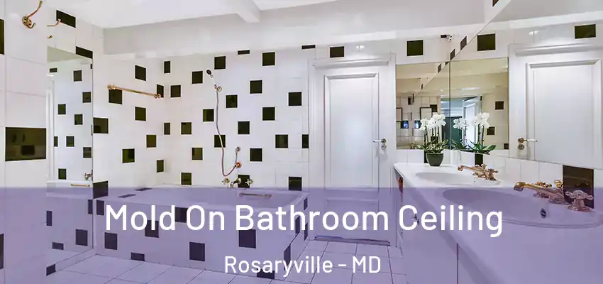 Mold On Bathroom Ceiling Rosaryville - MD