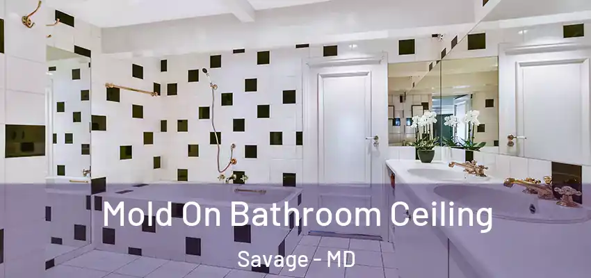 Mold On Bathroom Ceiling Savage - MD