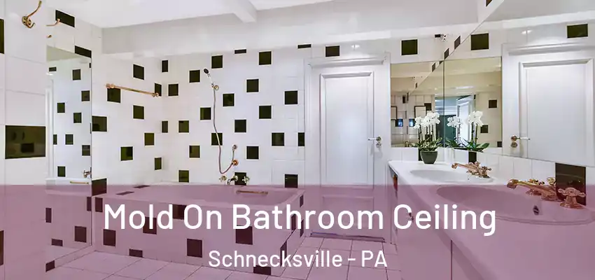  Mold On Bathroom Ceiling Schnecksville - PA
