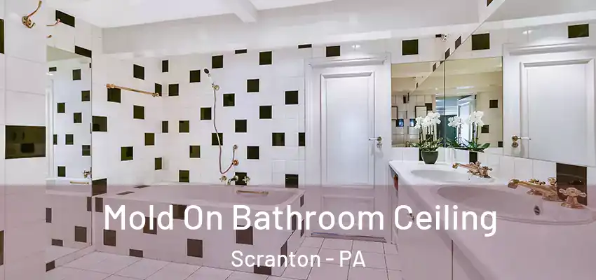Mold On Bathroom Ceiling Scranton - PA