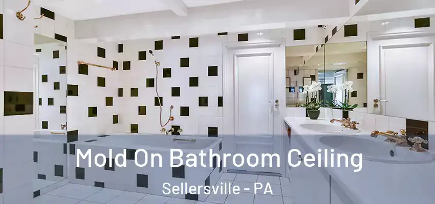 Mold On Bathroom Ceiling Sellersville - PA
