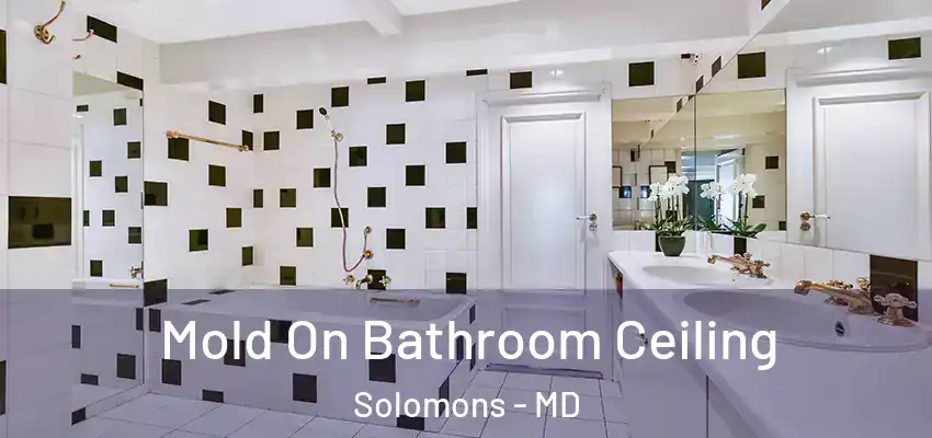 Mold On Bathroom Ceiling Solomons - MD