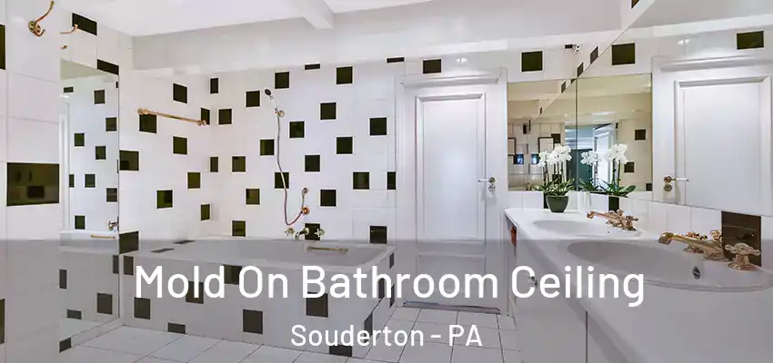 Mold On Bathroom Ceiling Souderton - PA