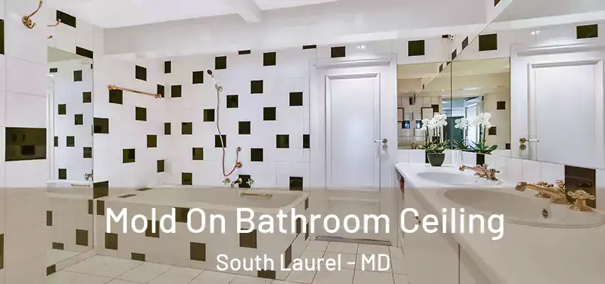 Mold On Bathroom Ceiling South Laurel - MD