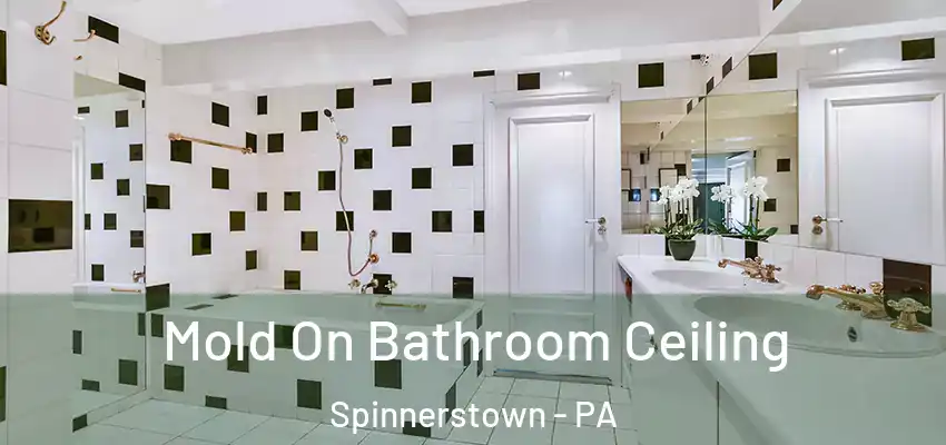 Mold On Bathroom Ceiling Spinnerstown - PA