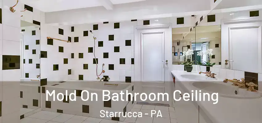 Mold On Bathroom Ceiling Starrucca - PA