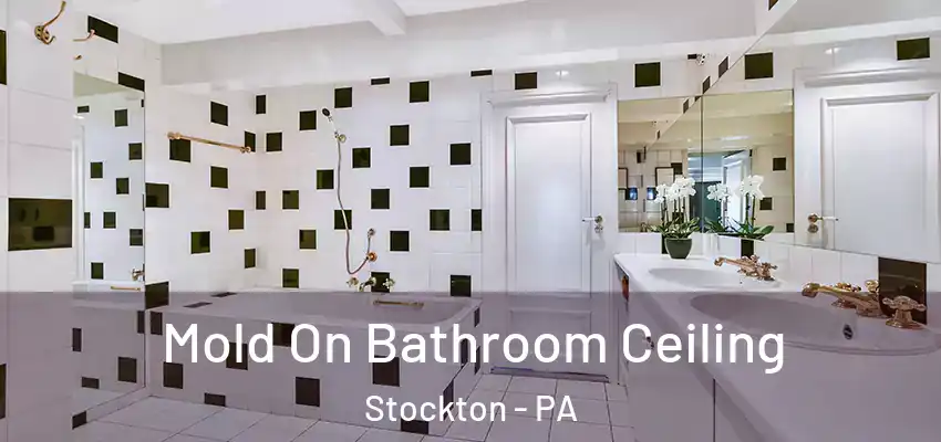 Mold On Bathroom Ceiling Stockton - PA