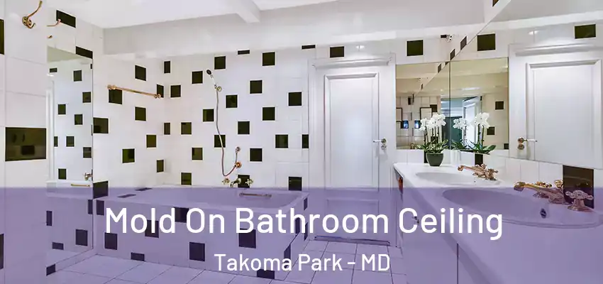 Mold On Bathroom Ceiling Takoma Park - MD