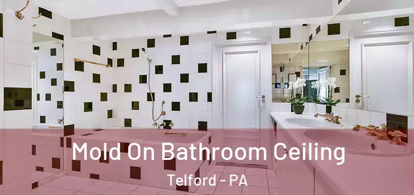 Mold On Bathroom Ceiling Telford - PA