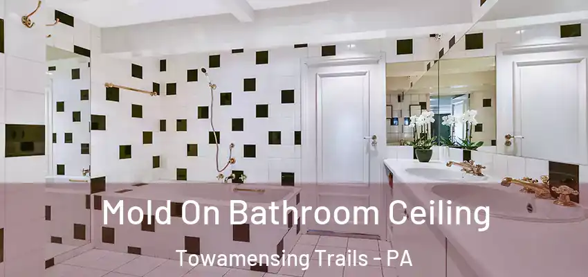  Mold On Bathroom Ceiling Towamensing Trails - PA