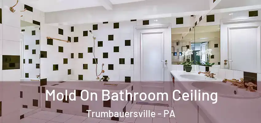 Mold On Bathroom Ceiling Trumbauersville - PA