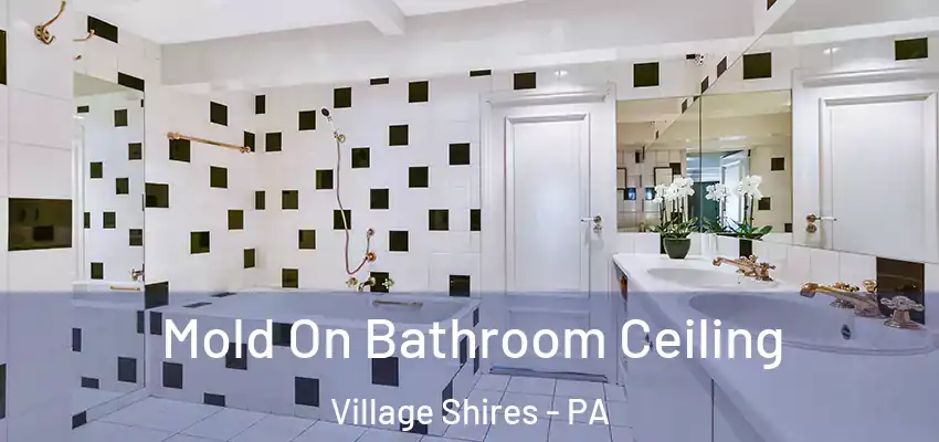 Mold On Bathroom Ceiling Village Shires - PA