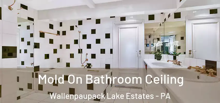 Mold On Bathroom Ceiling Wallenpaupack Lake Estates - PA