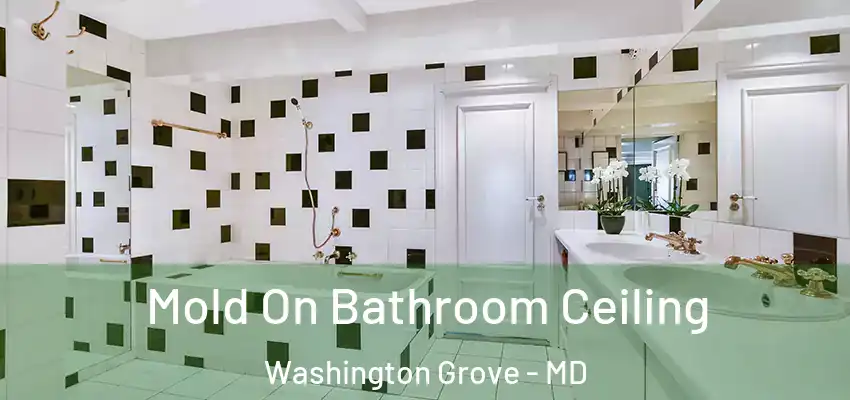 Mold On Bathroom Ceiling Washington Grove - MD