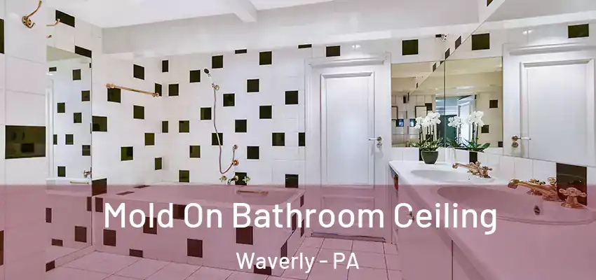 Mold On Bathroom Ceiling Waverly - PA