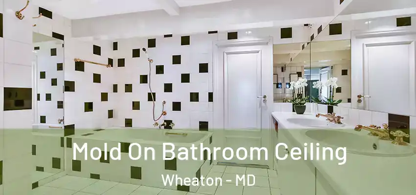Mold On Bathroom Ceiling Wheaton - MD