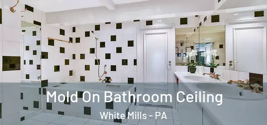 Mold On Bathroom Ceiling White Mills - PA