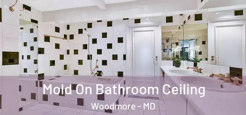 Mold On Bathroom Ceiling Woodmore - MD